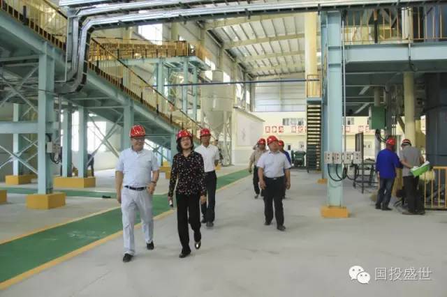 圍場縣政府領導到訪公司沸石產業園指導工作-國投盛世