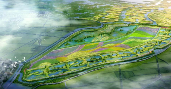 沸石又立新功!雄安新區(qū)府河河口濕地主體完工成效初顯!-國(guó)投盛世