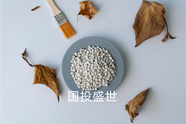 沸石分子篩干燥及凈化領域的應用，國投盛世