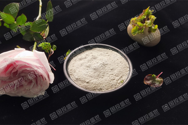 沸石的性質與應用范圍-國投盛世