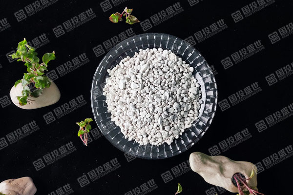 沸石可用于霉菌的消除-國投盛世