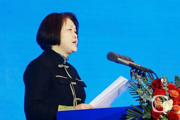國投盛世董事長劉嚴蓬作為協會監事長受邀參加2023中國國際涂料大會!