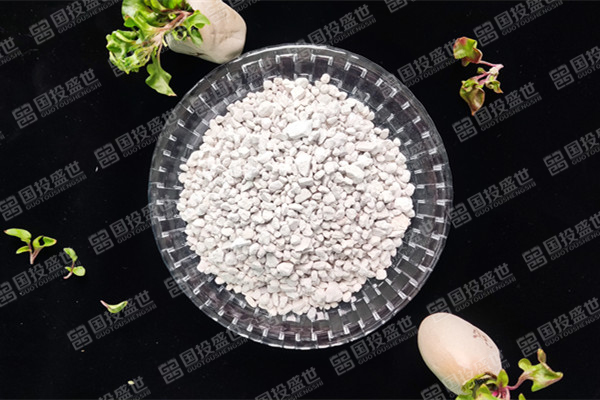 沸石在環(huán)境修復中的作用有什么？