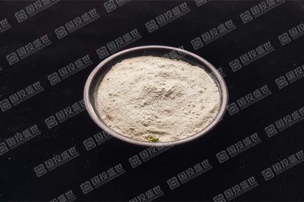 國投盛世的沸石牙膏是什么？