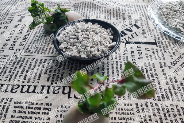 沸石在水產養殖中的應用-國投盛世