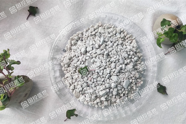 沸石為何能吸附控制垃圾填埋場的甲烷？
