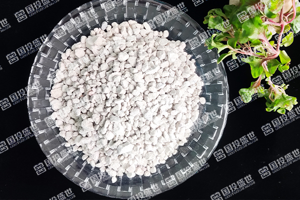 沸石在石油化工領(lǐng)域的應(yīng)用與功能
