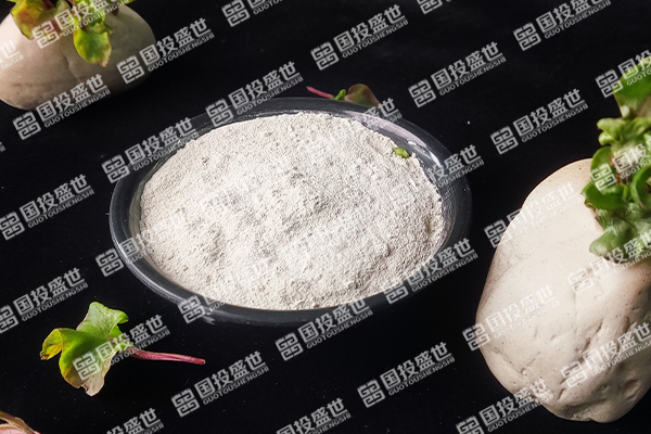 沸石粉：探索其作用與發展趨勢-國投盛世