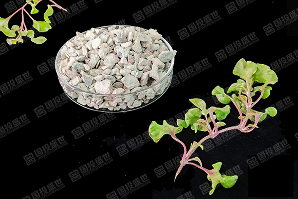沸石對生態(tài)環(huán)境的作用