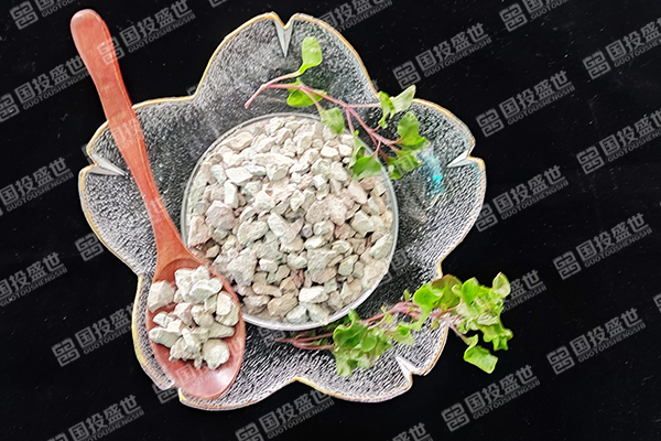 天然沸石為什么逐漸在國際市場受到歡迎？-國投盛世