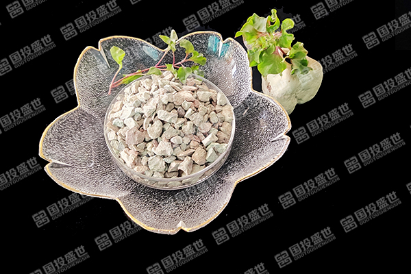 沸石：改變人工濕地污水處理的未來-國投盛世