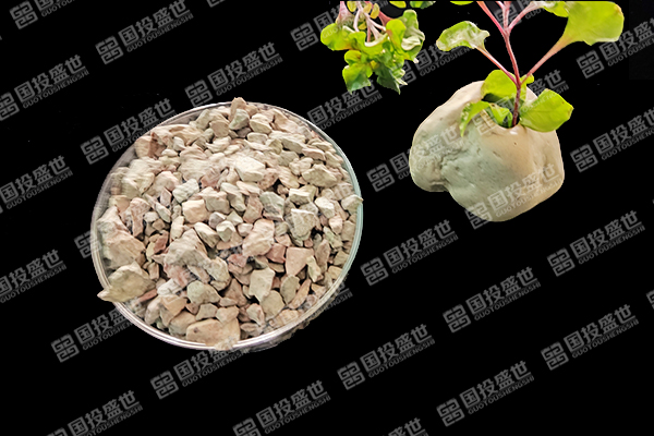 沸石如何提升紅薯種植效果？