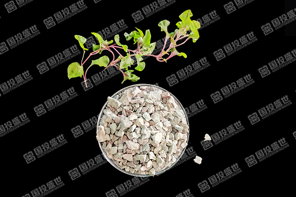 沸石能否成為草莓種植的好幫手？