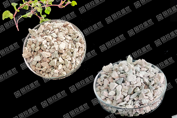 天然沸石如何助力番茄種植邁向綠色高效？