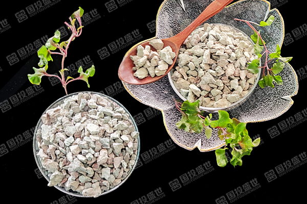 沸石促進(jìn)哪些亞熱帶水果種植效益？-國投盛世