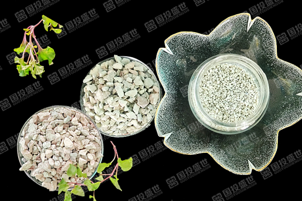 沸石在葡萄種植上展現的顯著改善是？