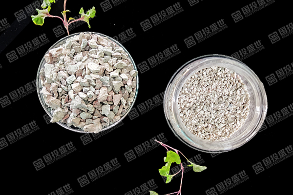 為什么在青蝦養殖中使用沸石能帶來顯著好處？