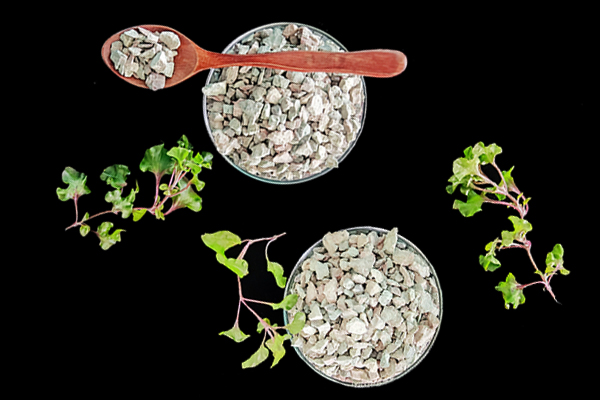 種植黃豆時能使用沸石嗎？