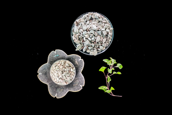 天然沸石對花生種植有何影響？-國投盛世