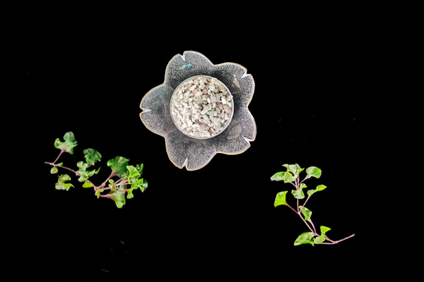 天然沸石對(duì)油菜種植有什么影響？-國(guó)投盛世