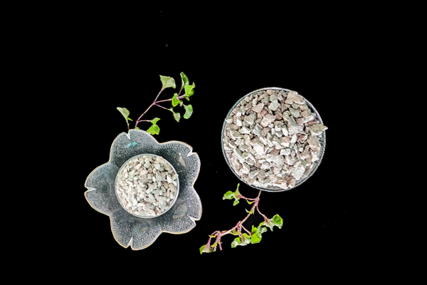 沸石能為扁豆種植帶來哪些改變？