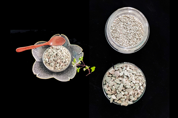 種植四季豆時(shí)加入沸石能提高產(chǎn)量嗎？-國(guó)投盛世
