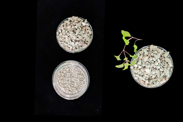 大豆種植何時(shí)添加沸石效果最佳？-國(guó)投盛世