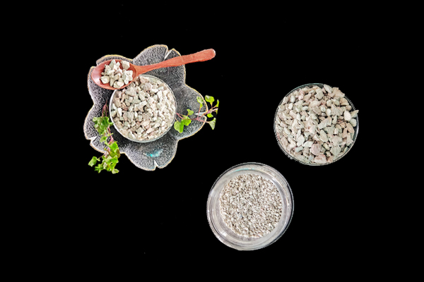 什么時候添加沸石有助于黑麥種植呢？