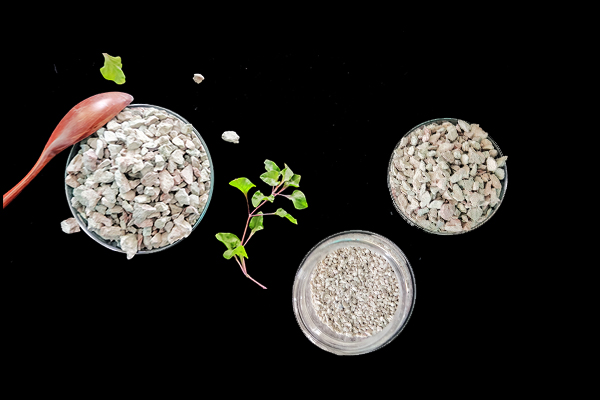 何時添加沸石于大麥種植最有效？