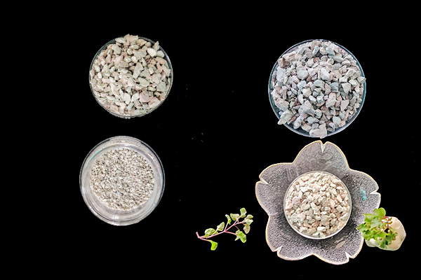 菠菜種植階段能使用沸石嗎？-國投盛世