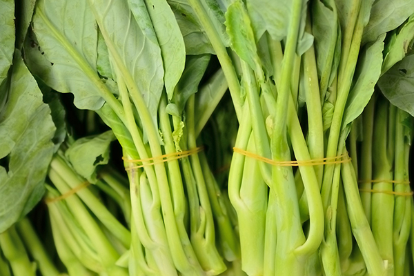想要空心菜增產，就要在種植時要加入它了-國投盛世